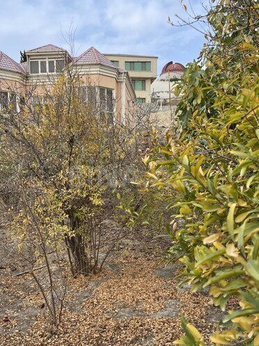 Продаётся  участок 11 сот, пос. Шихов , photo 7 from 13