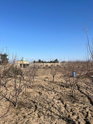 Satılır 4 otaqlı həyət evi/bağ evi 161 m², Türkan q., photo 15 from 21