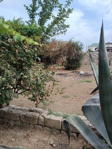 Продаётся  участок 37 сот, пос. Мардакан, photo 6 from 8