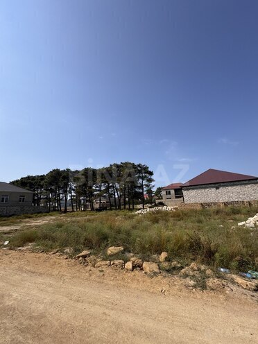 Продаётся  участок 6 сот, пос. Рамана, photo 5 from 15