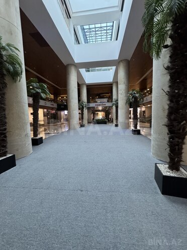 Сдаётся  объект 262 м², м. Шах Исмаил Хатаи, photo 15 from 18