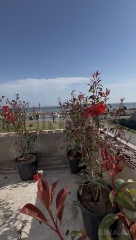 Satılır 5 otaqlı həyət evi/bağ evi 220 m², Hövsan q., photo 14 from 17