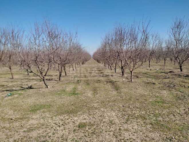 Satılır  obyekt 120 000 m², photo 8 from 19