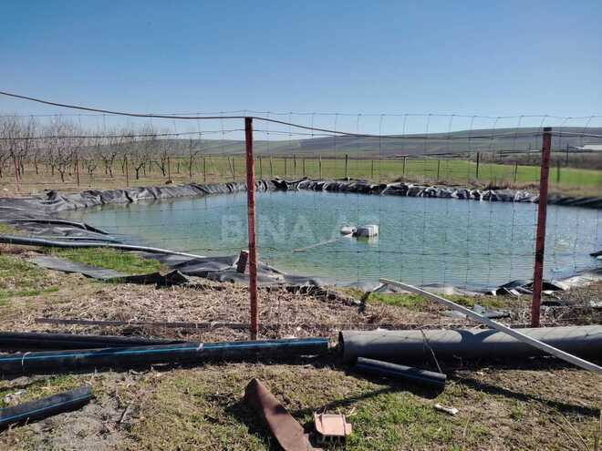 Satılır  obyekt 120 000 m², photo 6 from 19