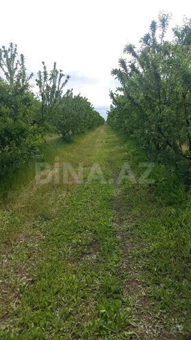 Satılır  obyekt 120 000 m², photo 3 from 19