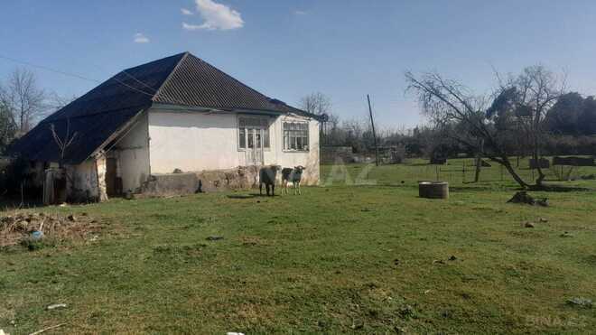 Satılır  həyət evi/bağ evi 120 m², Astara r., photo 9 from 10