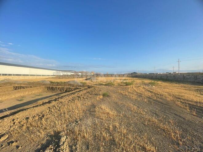 Satılır  torpaq 100 sot, Atyalı q., photo 5 from 6