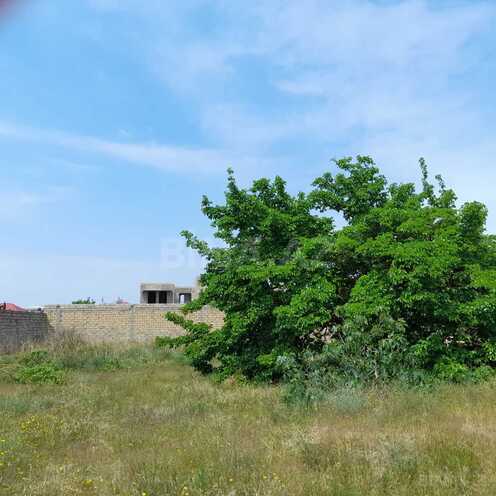 Satılır  torpaq 11.5 sot, Bilgəh q., photo 4 from 12