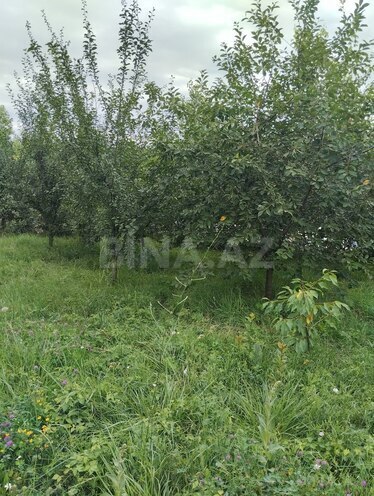 İcarəyə verilir 3 otaqlı həyət evi/bağ evi 135 m², photo 3 from 20