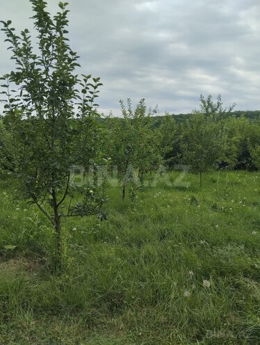 İcarəyə verilir 3 otaqlı həyət evi/bağ evi 135 m², photo 4 from 20