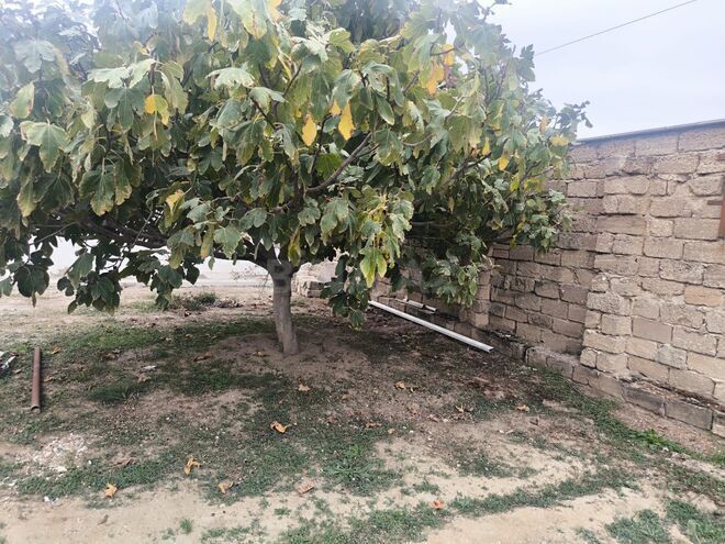 Продаётся 3-комн. дом/дача 57.1 м², пос. Бина, photo 13 from 26