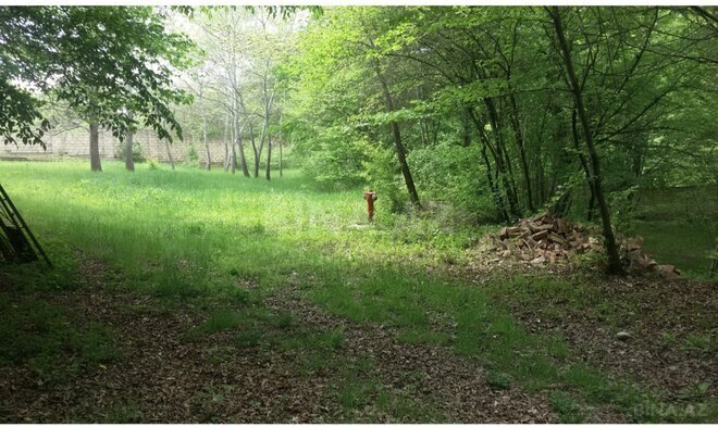 Продаётся  участок 60 сот, photo 7 from 8