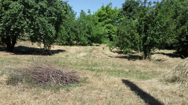 Продаётся  участок 60 сот, photo 5 from 8