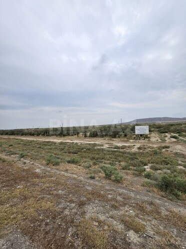 Satılır  torpaq 500 sot, Ələt q., photo 3 from 10