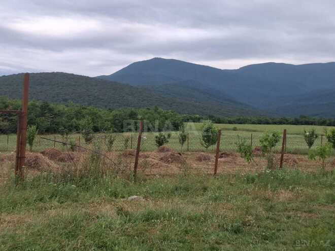 Satılır  torpaq 12 sot, photo 5 from 11