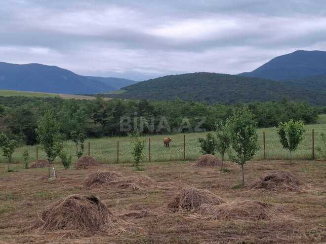 Satılır  torpaq 12 sot, photo 6 from 11