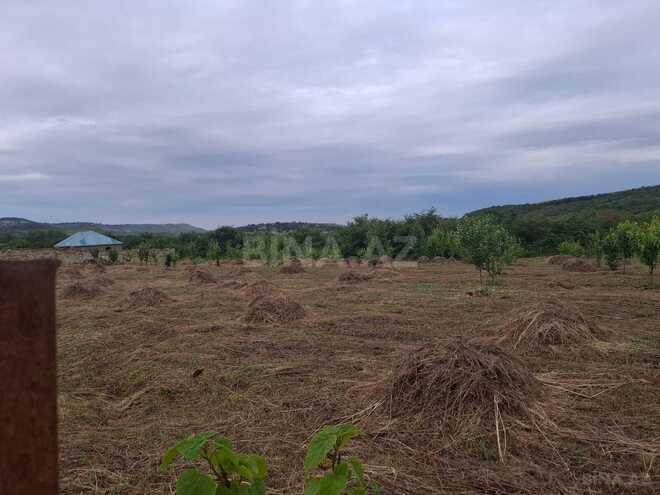 Satılır  torpaq 12 sot, photo 10 from 11