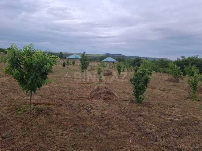 Satılır  torpaq 12 sot, photo 9 from 11