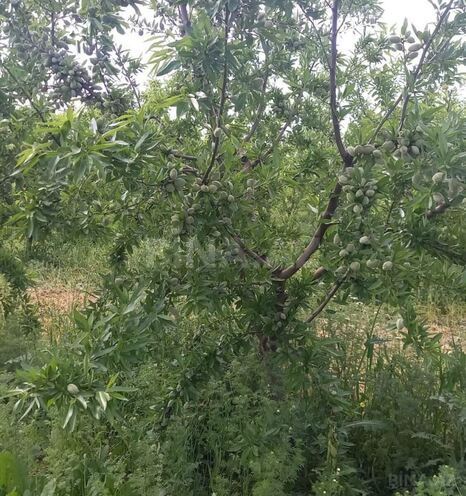 Продаётся  участок 12 сот, photo 4 from 7