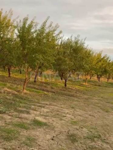 Продаётся  участок 12 сот, photo 6 from 7