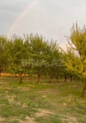 Продаётся  участок 12 сот, photo 5 from 7