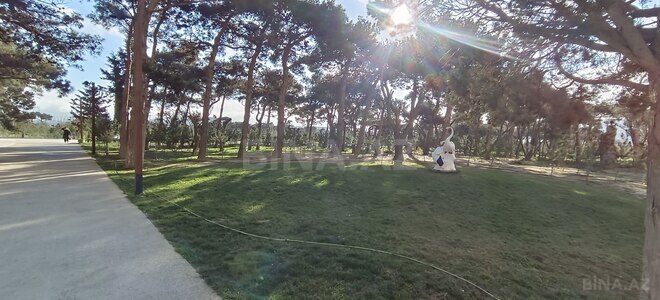 İcarəyə verilir 5 otaqlı köhnə tikili 120 m², Gənclik m., photo 26 from 28