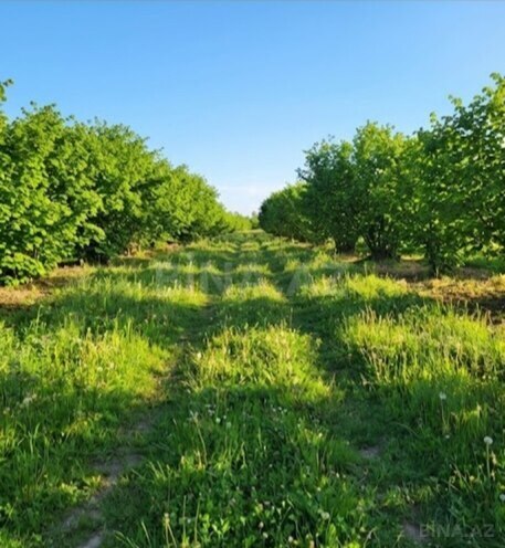 Satılır  torpaq 120 sot, photo 3 from 4