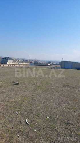 Продаётся  участок 60 сот, пос. Новханы, photo 7 from 8