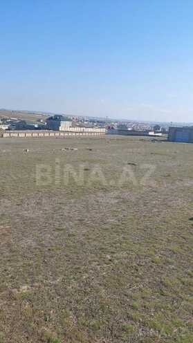 Продаётся  участок 60 сот, пос. Новханы, photo 3 from 8