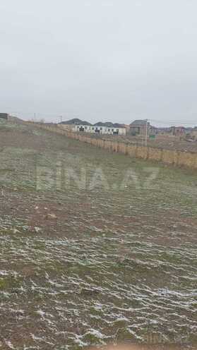Satılır  torpaq 110 sot, Saray q., photo 3 from 7