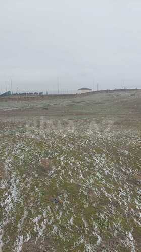 Satılır  torpaq 110 sot, Saray q., photo 1 from 7