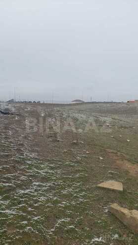 Satılır  torpaq 110 sot, Saray q., photo 4 from 7