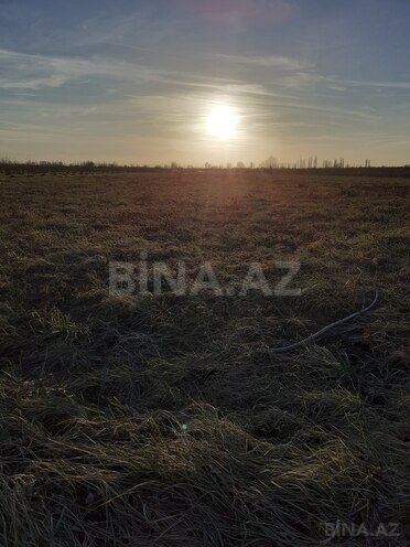 Satılır  torpaq 100 sot, Xaçmaz r., photo 3 from 5
