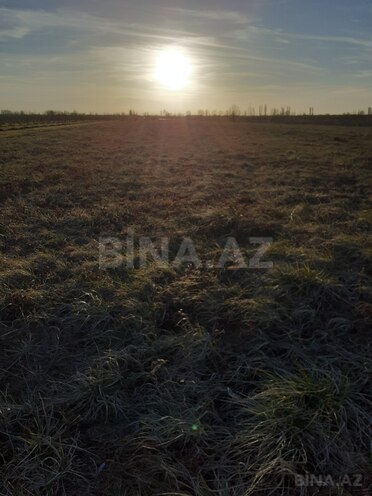 Satılır  torpaq 100 sot, Xaçmaz r., photo 4 from 5