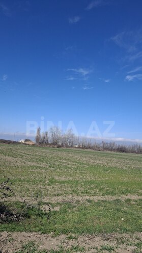 Satılır  torpaq 160 sot, photo 7 from 8