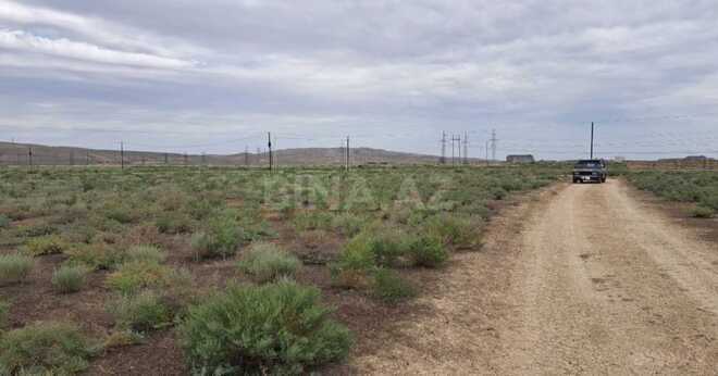 Satılır  torpaq 12 sot, photo 5 from 9