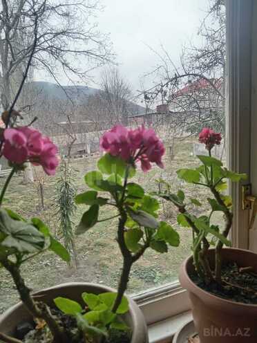 Сдаётся 3-комн. дом/дача 100 м², photo 4 from 15