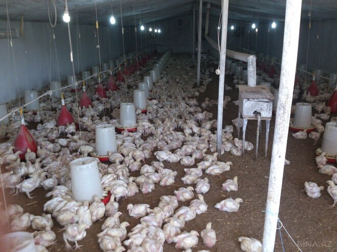 Продаётся  участок 10 сот, photo 11 from 13