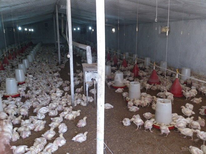 Продаётся  участок 10 сот, photo 12 from 13