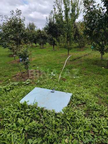 Satılır 6 otaqlı həyət evi/bağ evi 300 m², Xaçmaz r., photo 8 from 28