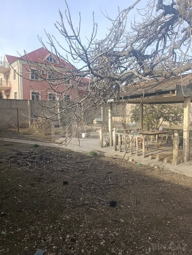 Продаётся  участок 11 сот, пос. Кешля, photo 5 from 10