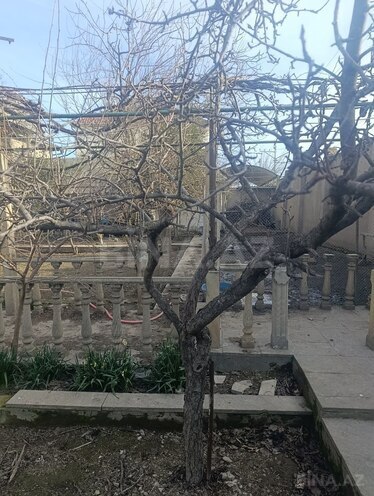 Продаётся  участок 11 сот, пос. Кешля, photo 4 from 10