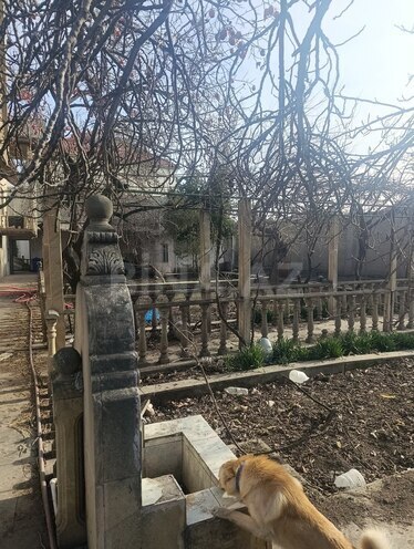 Продаётся  участок 11 сот, пос. Кешля, photo 3 from 10