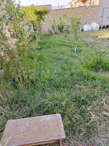 Satılır  torpaq 5 sot, Biləcəri q., photo 3 from 11