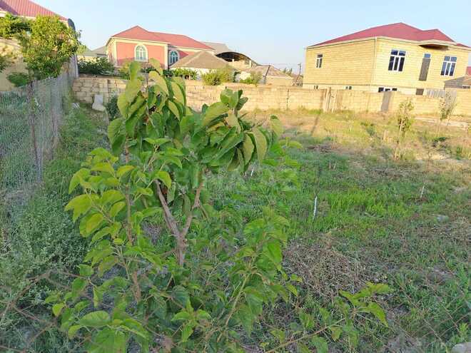 Satılır  torpaq 5 sot, Biləcəri q., photo 9 from 11