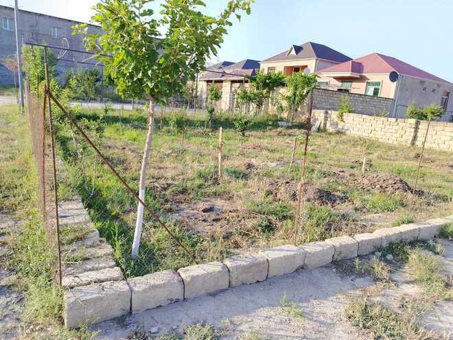 Satılır  torpaq 5 sot, Biləcəri q., photo 6 from 11