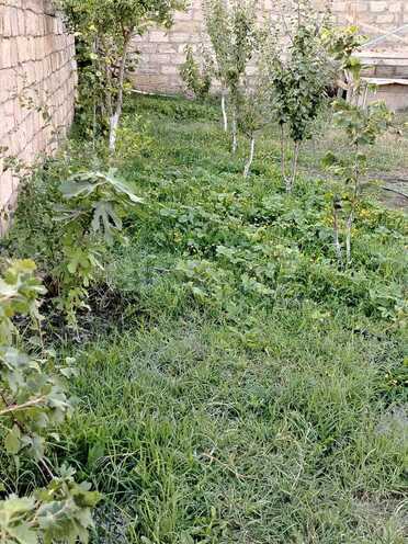 Satılır  torpaq 5 sot, Biləcəri q., photo 7 from 11