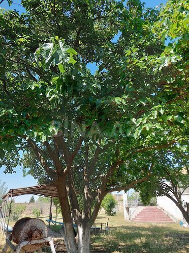 Продаётся  участок 16 сот, пос. Новханы, photo 21 from 28