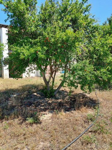 Продаётся  участок 16 сот, пос. Новханы, photo 24 from 28