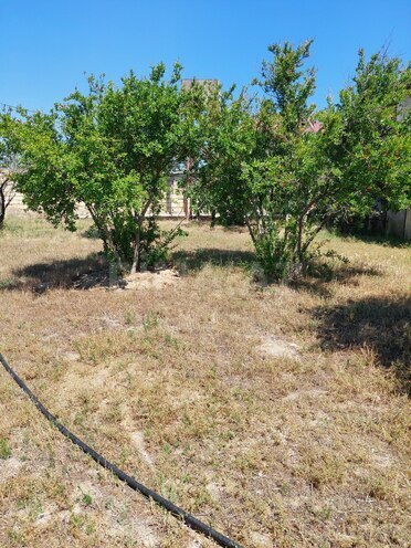 Продаётся  участок 16 сот, пос. Новханы, photo 25 from 28